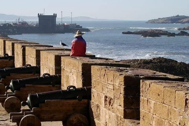 Essaouira One-Day Private Tour from Marrakech — Coastal Medina, Argan Co-op & Beach photo 2