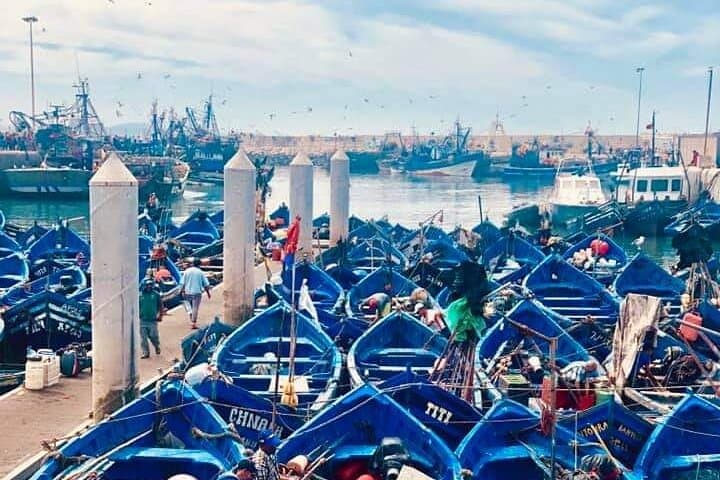 Coastal Escape from Marrakech: A Full-Day Trip to Essaouira photo 3