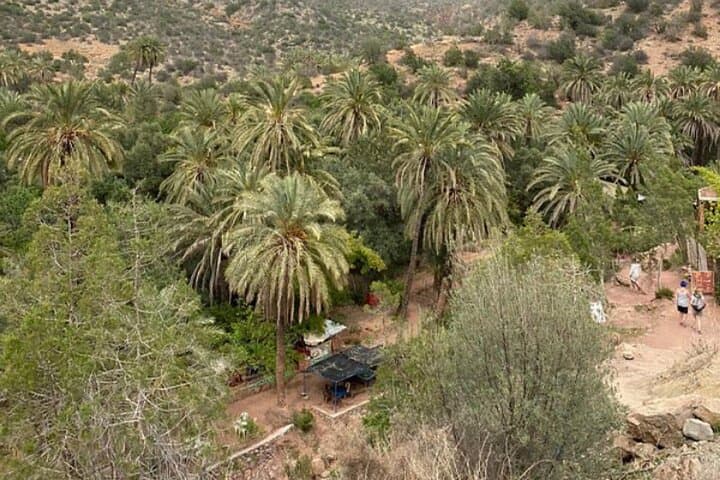 Agadir Paradise Valley Day Trip: Imouzzer, Argan Farms & Berber Breakfast photo 2