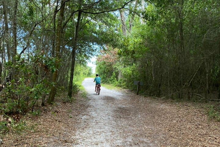 Big Talbot Island E‑Bike Self‑Guided Tour from Pedego Amelia photo 3