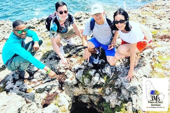 Barbados Private Customised Island Tours — Personalized Full-Day Drives from Bridgetown photo 6