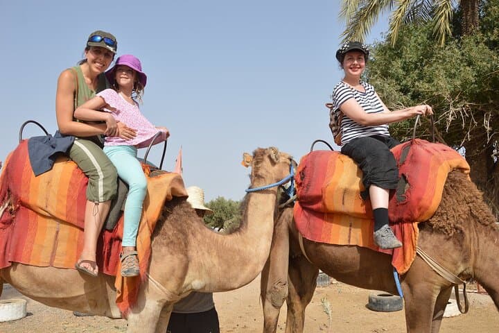 Agadir Half-Day City Tour: Medina, Cable Car, Crocoparc & Camel Ride photo 4