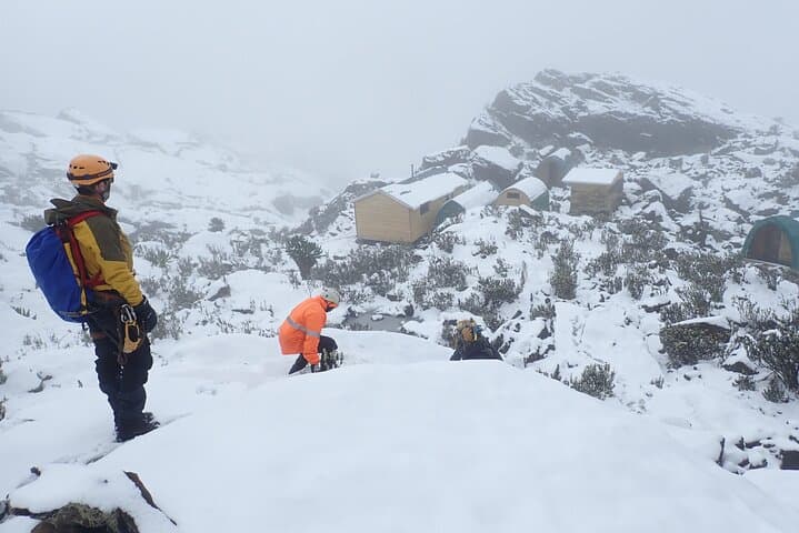 Rwenzori Mountains 10-Day High-Altitude Trek: Glacier Peaks & Nine Lakes photo 2
