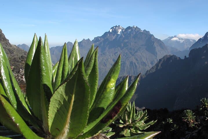 Rwenzori Mountains 10-Day High-Altitude Trek: Glacier Peaks & Nine Lakes photo 3
