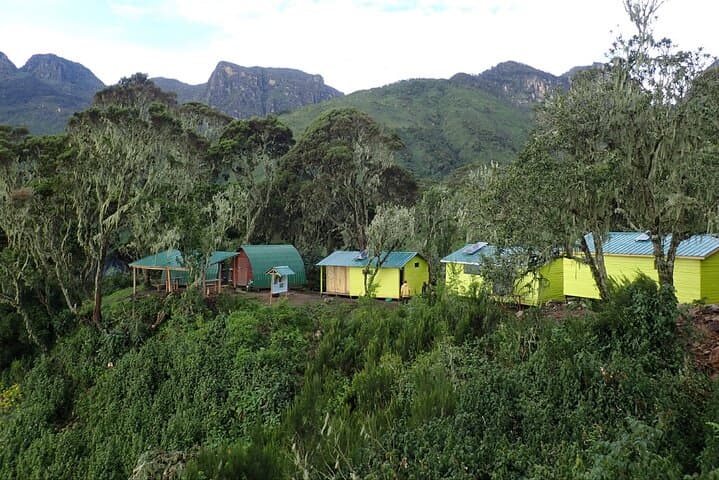 Rwenzori Mountains 10-Day High-Altitude Trek: Glacier Peaks & Nine Lakes photo 4