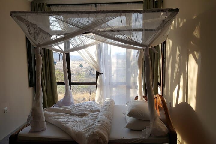 5-Day Mikumi & Ruaha Safari — Walking Safaris, Night Drives & Big Game in Tanzania