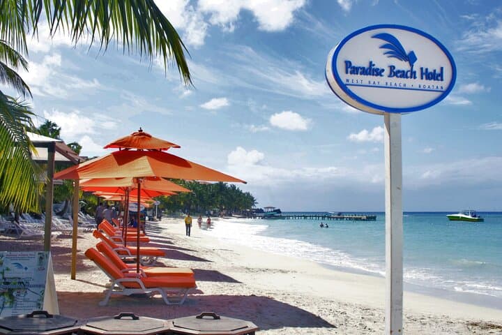Roatán Sloth & Monkey Sanctuary Tour with West Bay Beach and Chocolate Factory photo 4