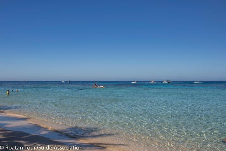 West Bay Beach Day Pass at Paradise Beach — Gumbalimba Sanctuary & Zipline Options photo 4