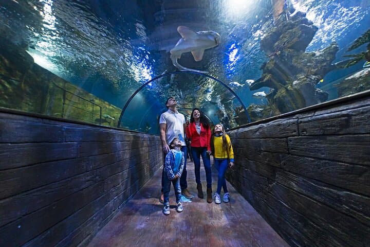 3-Day Malta Leisure Pass: Hop-On Hop-Off, Harbour Cruise & Top Attractions photo 2