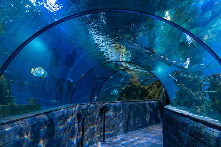 3-Day Malta Leisure Pass: Hop-On Hop-Off, Harbour Cruise & Top Attractions photo 4
