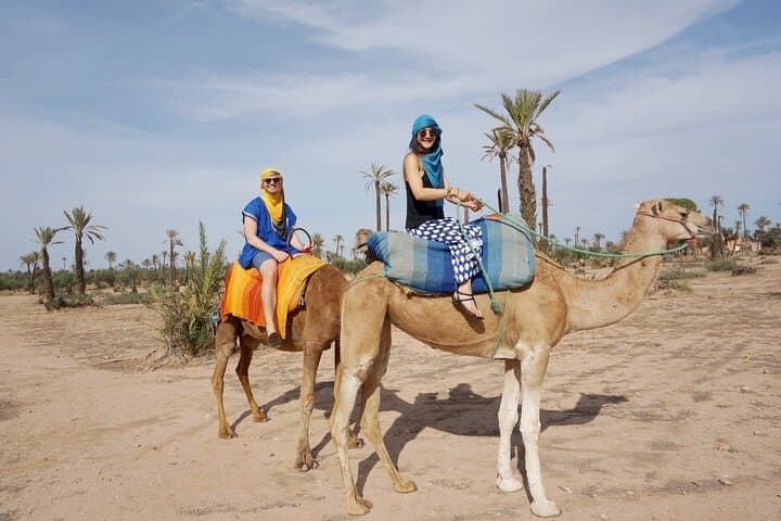 Marrakech Camel Ride & Jbilets Quad Tour — 3-Hour Desert Excursion photo 3