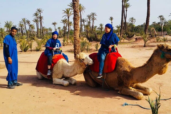 Marrakech Camel Ride & Jbilets Quad Tour — 3-Hour Desert Excursion photo 5