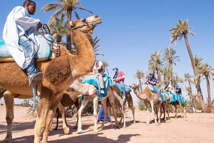 Marrakech Camel Ride & Jbilets Quad Tour — 3-Hour Desert Excursion photo 6