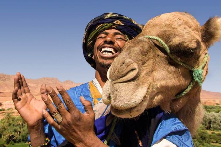 Marrakech Camel Ride & Jbilets Quad Tour — 3-Hour Desert Excursion