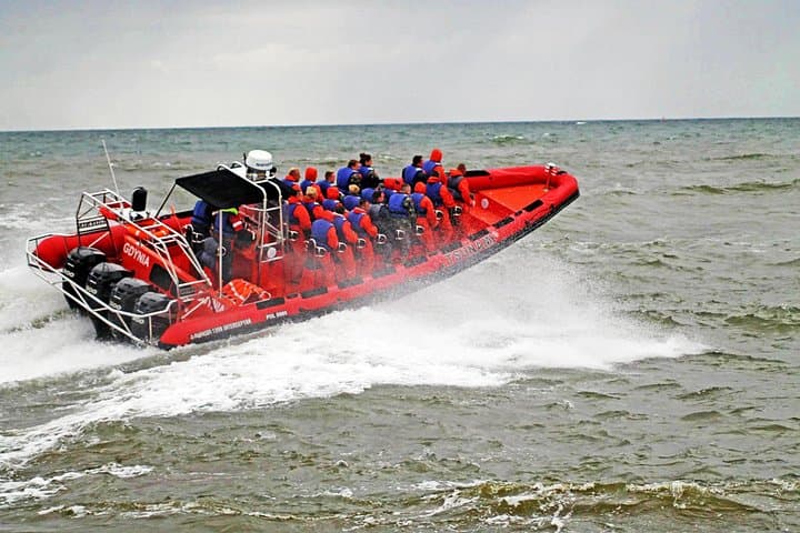 RIB Whale Watching from Reykjavík Old Harbour: High-Speed Marine Wildlife Tours photo 3