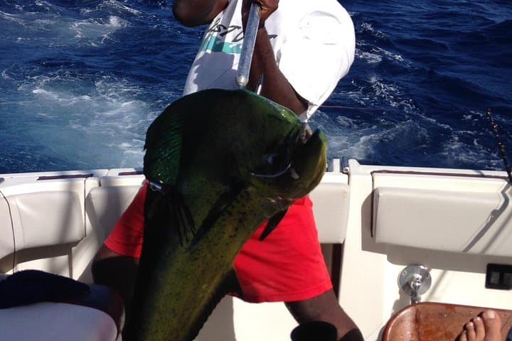 Private Fishing and Snorkel Charters in St Kitts and Nevis: An Adventurer’s Guide photo 3