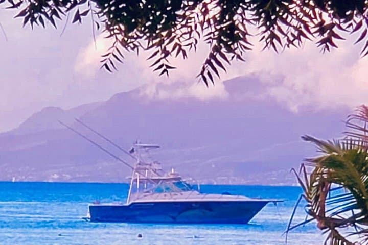 Private Fishing and Snorkel Charters in St Kitts and Nevis: An Adventurer’s Guide photo 2