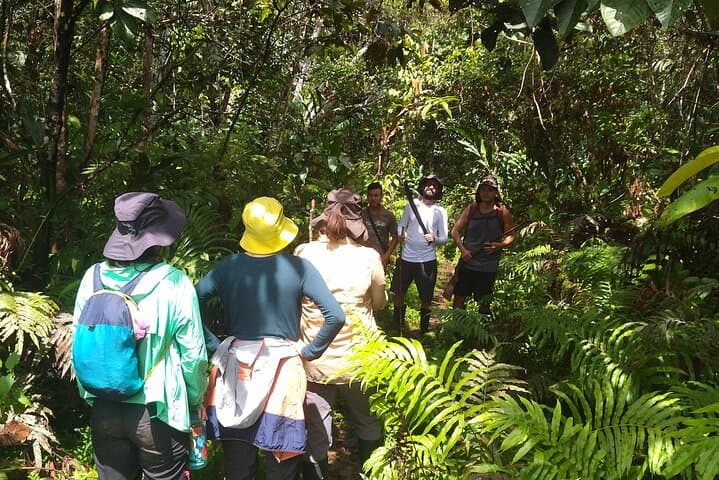 Cocama Route: 2-Day Nanay River Jungle Trek & Cultural Stay