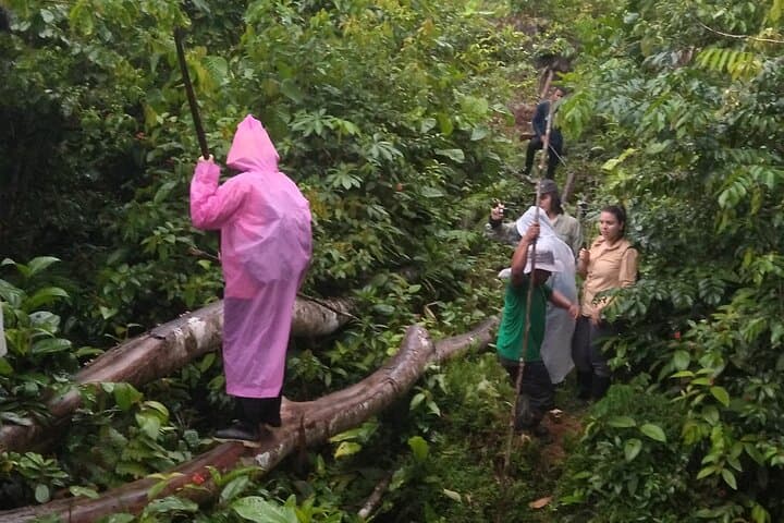 Cocama Route: 2-Day Nanay River Jungle Trek & Cultural Stay photo 2