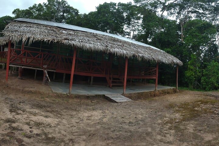 Cocama Route: 2-Day Nanay River Jungle Trek & Cultural Stay photo 5