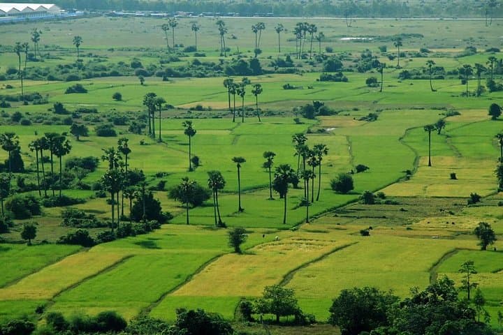 Best of Battambang Day Trip: Bamboo Train, Colonial Streets & Bat Caves photo 4