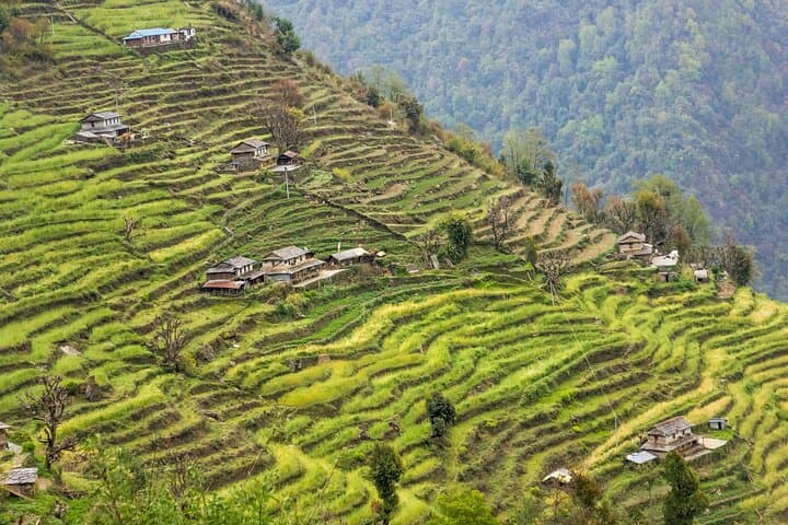 Annapurna Base Camp Trek: Classic ABC Route from Pokhara photo 2