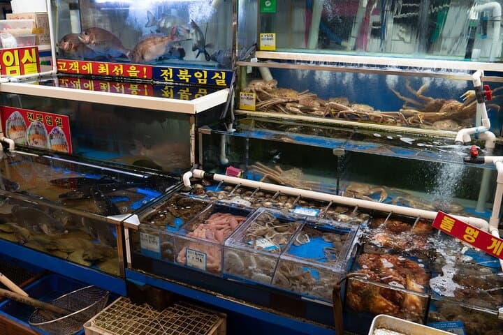 Noryangjin Fish Market Gastroventure: A Two-Hour Deep Dive into Seoul’s Seafood Scene photo 4