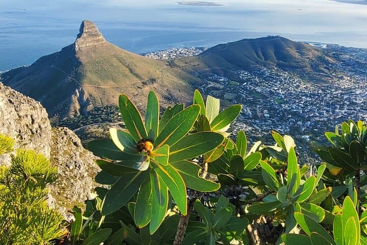 Sunrise Hike: Platteklip Gorge to Table Mountain Summit