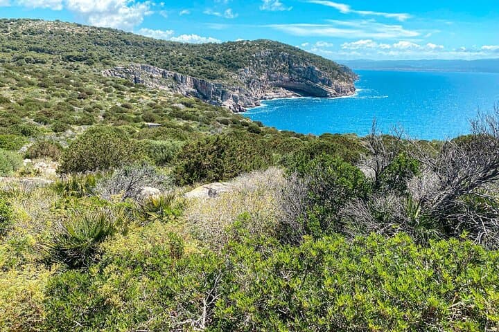 Digital Detox Walk in Porto Conte Natural Park — 3-Hour Guided Escape from Alghero photo 2