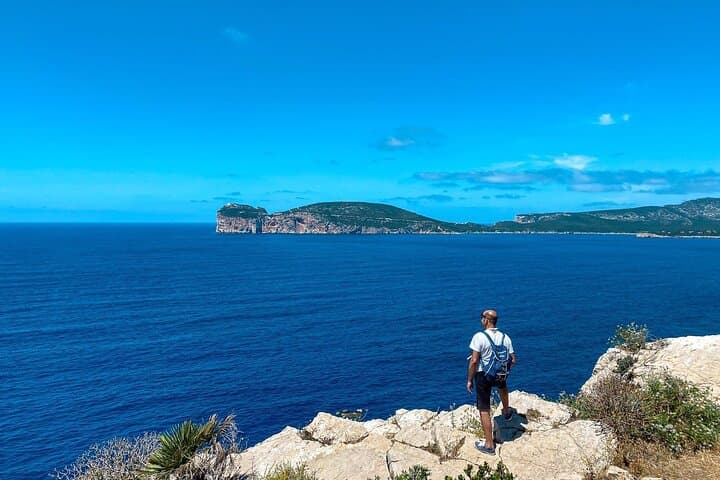 Digital Detox Walk in Porto Conte Natural Park — 3-Hour Guided Escape from Alghero