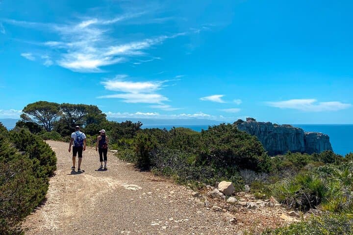 Digital Detox Walk in Porto Conte Natural Park — 3-Hour Guided Escape from Alghero photo 5