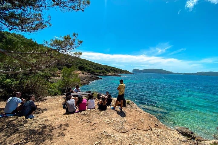 Digital Detox Walk in Porto Conte Natural Park — 3-Hour Guided Escape from Alghero photo 3