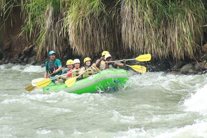 Full-Day Cloud Forest and Rafting Adventure from San José
