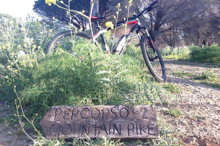Mount Pellegrino e-MTB Experience — Palermo Mountain Bike Tour to the Holy Grotto photo 6