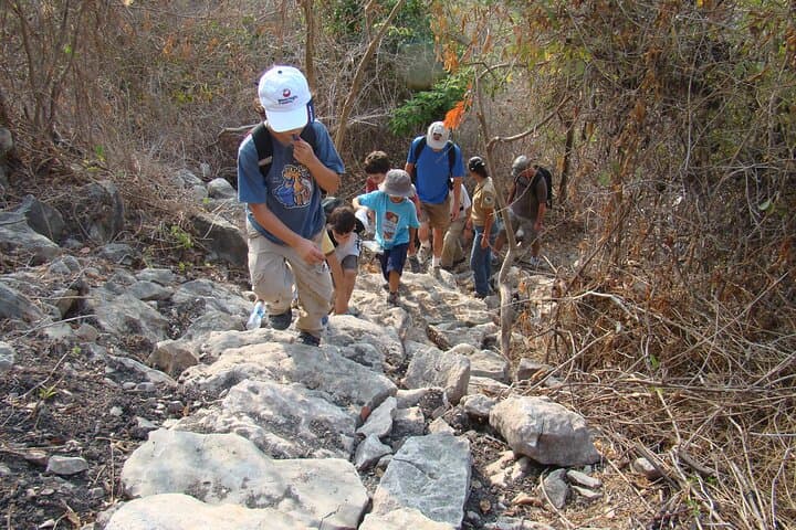 Howling Monkeys of Cerro Blanco: Private Guided Tour from Guayaquil photo 6