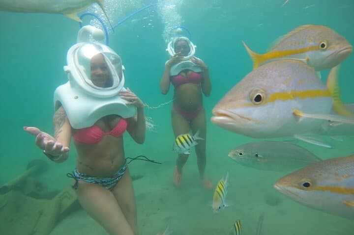 Sea Trek San Juan: Walk the Ocean Floor at Caribe Hilton photo 2