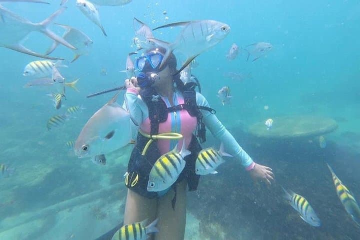 Discover Scuba Diving in San Juan: Introductory Cove Dives at Caribe Hilton photo 1