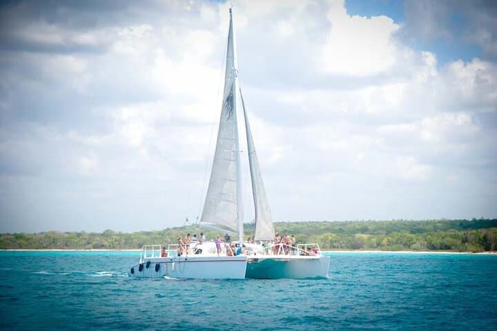 Full-Day Saona Island Excursion from Punta Cana: Natural Pool, Beaches & Lunch photo 4