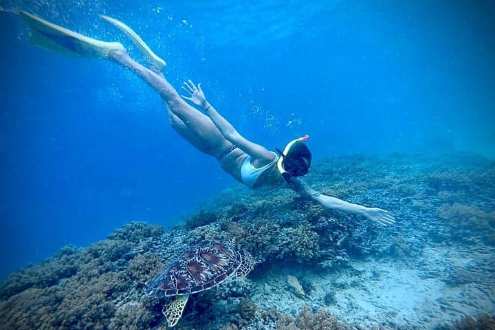 Private Half-Day Snorkel: Turtles & Underwater Statues, Gili Islands photo 5