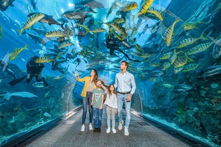 Dubai Aquarium & Underwater Zoo: 48-Meter Tunnel and Behind-the-Scenes Encounters photo 1
