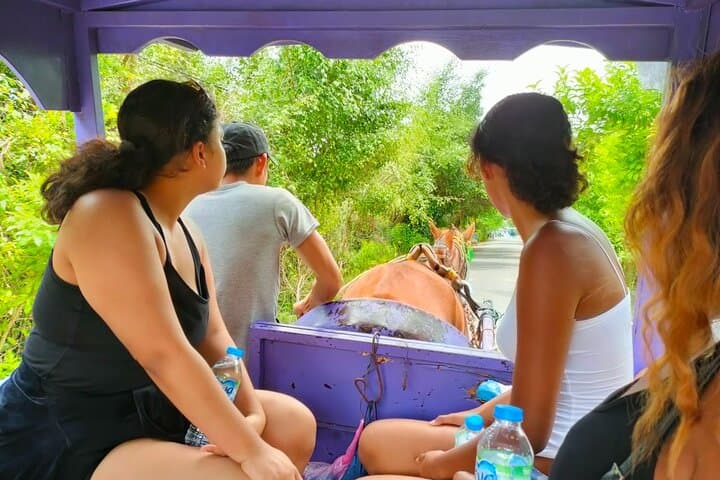 Mekong Delta Day Tour — My Tho Boat Cruise, Coconut Island & Vinh Trang Pagoda photo 4