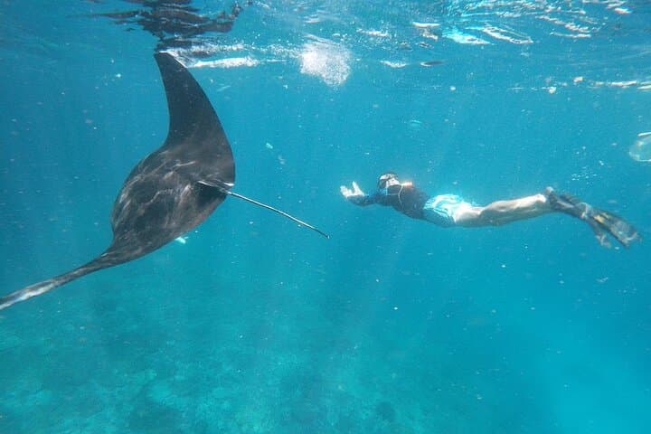 West Nusa Penida Snorkel Adventure: Manta Point, Kelingking & Broken Beach photo 2