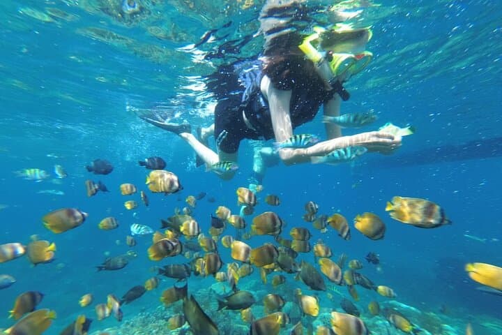 West Nusa Penida Snorkel Adventure: Manta Point, Kelingking & Broken Beach