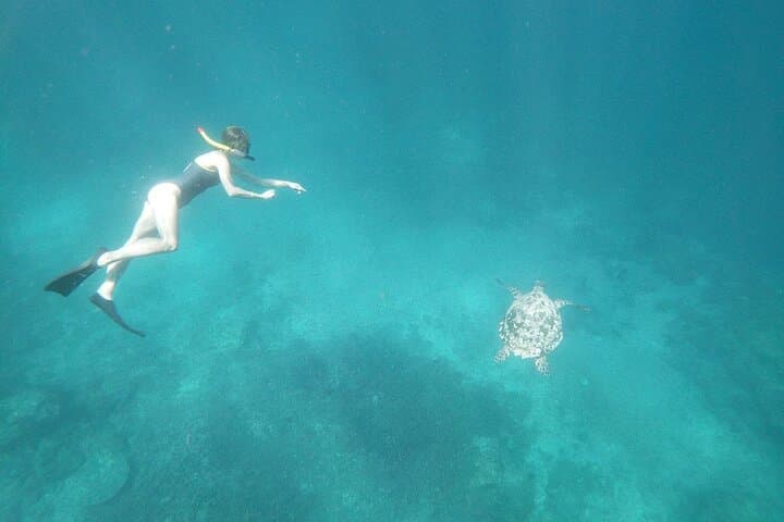 West Nusa Penida Snorkel Adventure: Manta Point, Kelingking & Broken Beach photo 3
