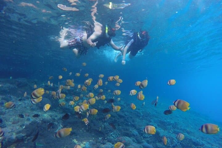 West Nusa Penida Snorkel Adventure: Manta Point, Kelingking & Broken Beach photo 4