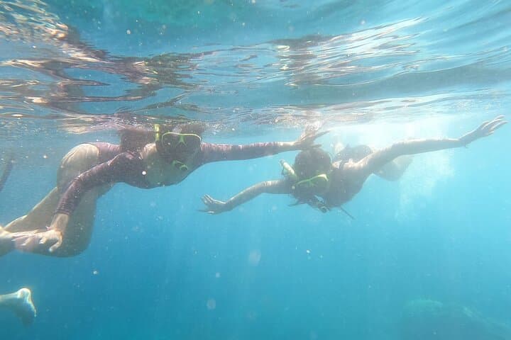 West Nusa Penida Snorkel Adventure: Manta Point, Kelingking & Broken Beach photo 5