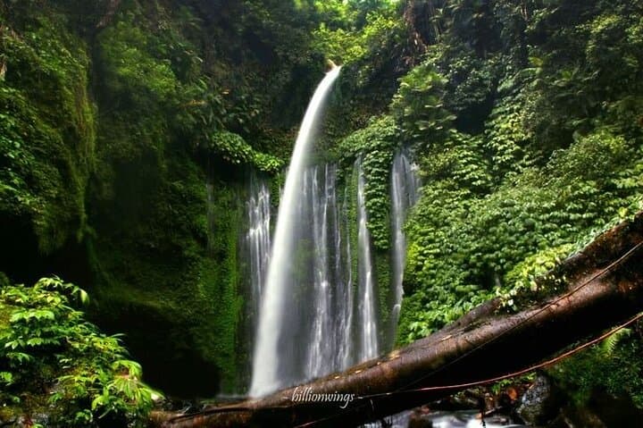 Tiu Kelep & Sendang Gile Waterfalls Day Trip — Senaru, Lombok