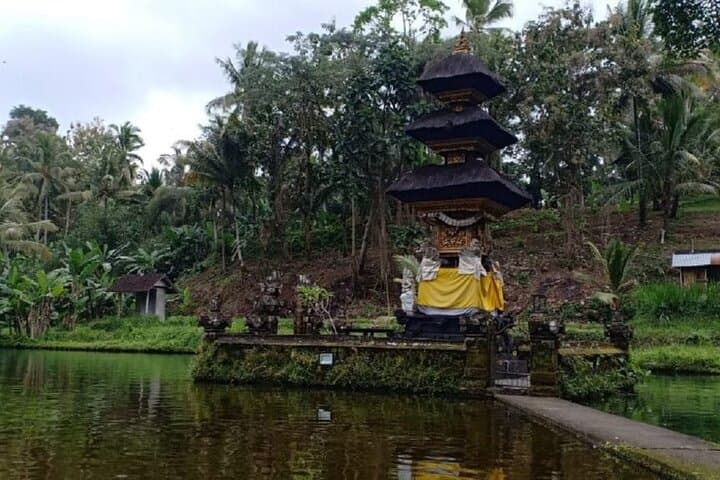 Bali ATV Adventure: Mumbul Lake & Sangeh Monkey Forest Day Tour photo 6