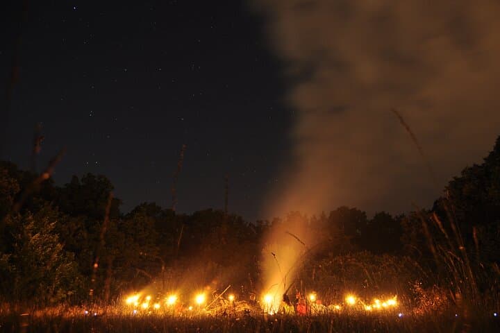Night Tour in Hoia Baciu Forest: Explore Cluj-Napoca's Mysterious Woods photo 4