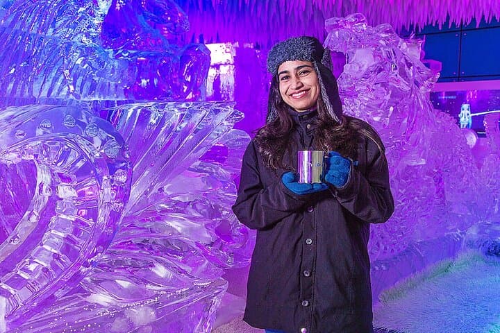 Chillout Ice Lounge Dubai — Subzero Ice Experience at Times Square Center photo 3